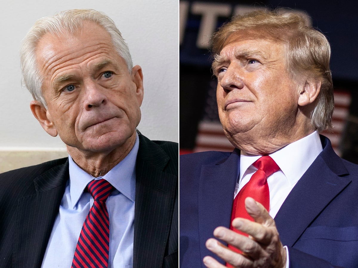 Trump loyalist Peter Navarro steering trade war as White House says Elon Musk not in charge of DOGE: Live